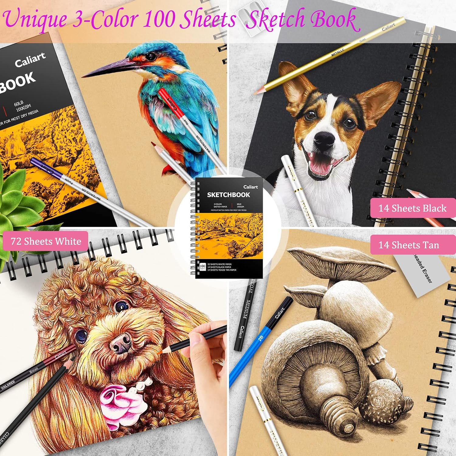 Caliart 176PCS Art Supplies Sketching Kit, 100 Sheets 3-Color Sketch Book - Image 3